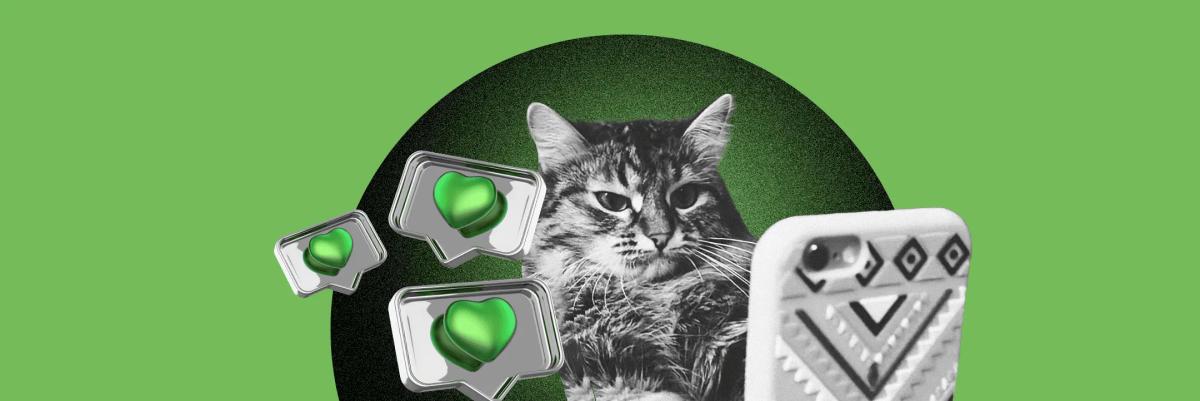 Как найти человека в Инстаграм* по номеру телефона