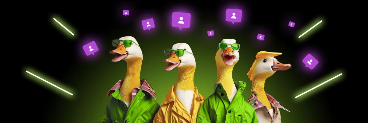 Подписчики в социальных сетях